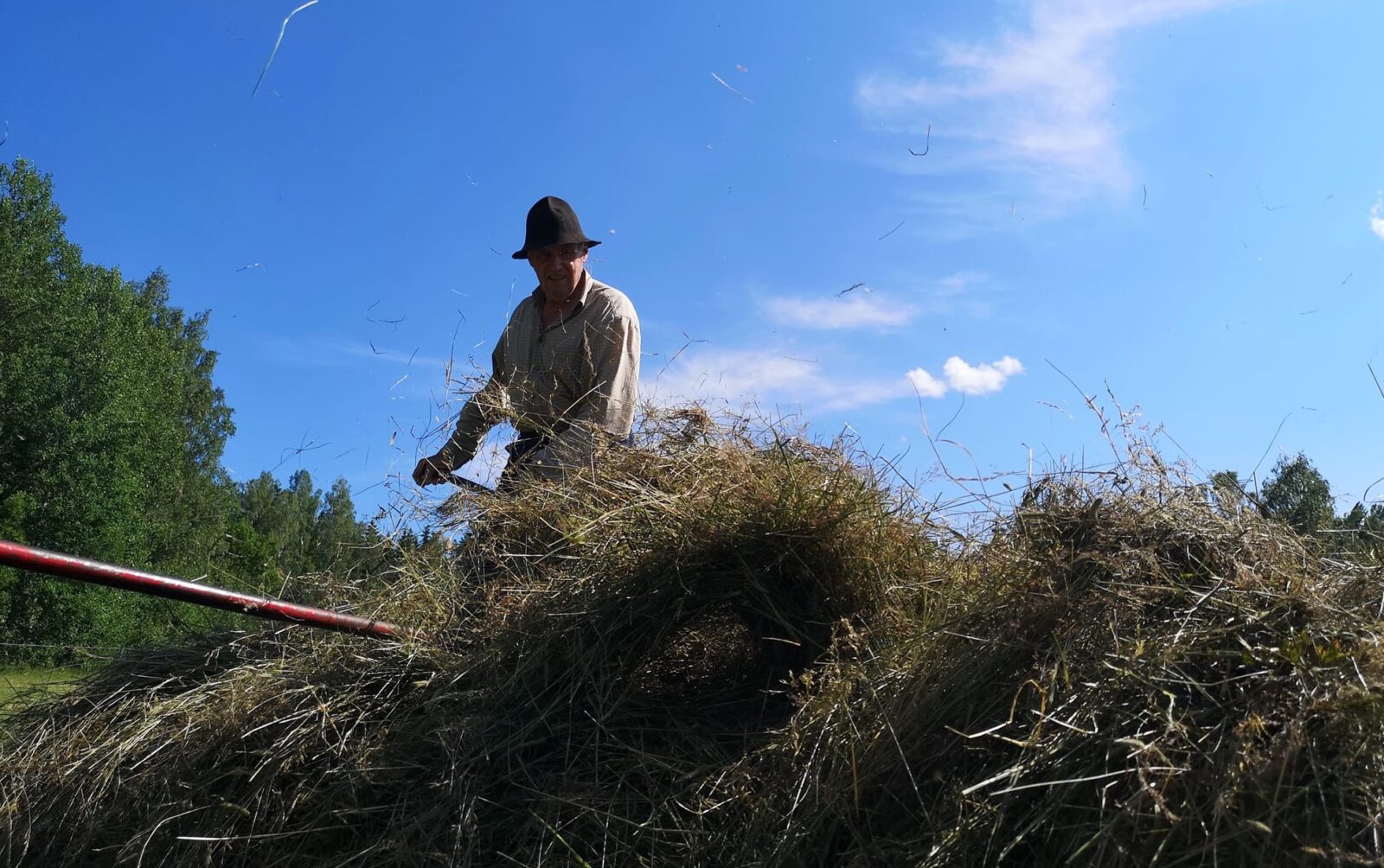 Foto: Lina Adolphson. Bild från höskörd på traditionellt vis.