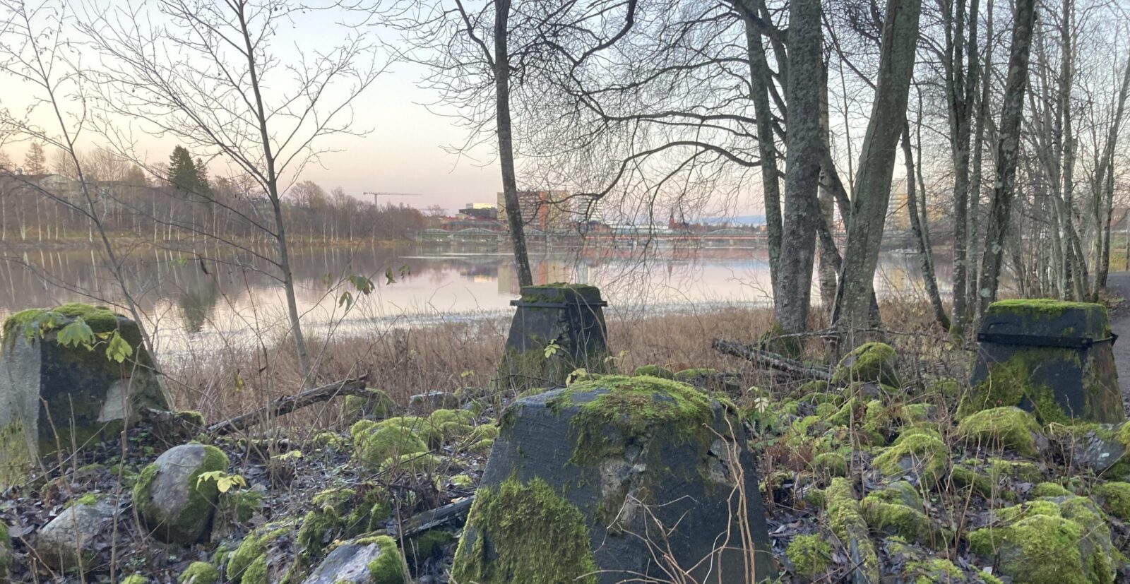 Vid Umeälven. Foto: Anders Kristoffersson