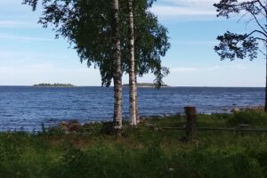 Sommaruppehåll på bloggen