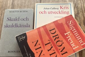 Psykiatri på avvägar